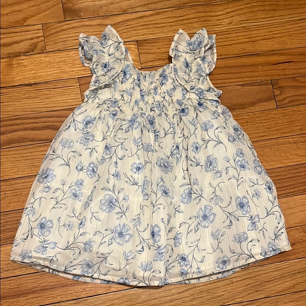 Rachel Zoe Floral Ruffle Sleeve Baby Dress with Silver Trim